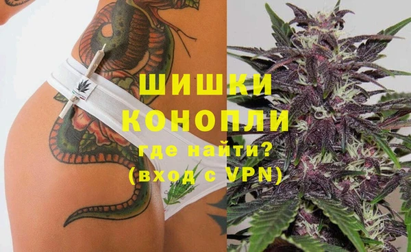 шишки Кулебаки