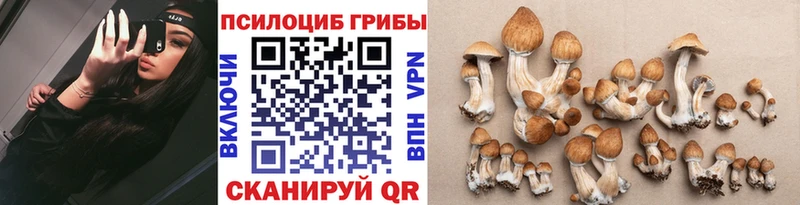 нарко площадка формула  закладки  Приволжский  Галлюциногенные грибы Magic Shrooms 